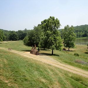 Watani Grasslands Exhibit