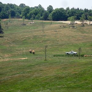 Watani Grasslands Exhibit