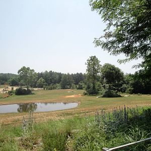 Watani Grasslands Elephant Exhibit