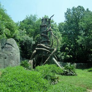 Chimpanzee Exhibit