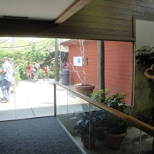 Window into Lorikeet Exhibit