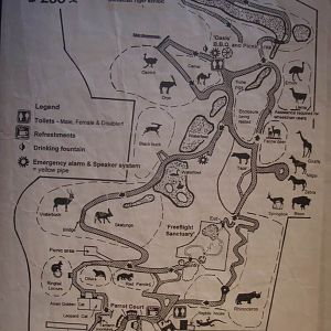 2 - Hamilton Zoo Map (December 2000)