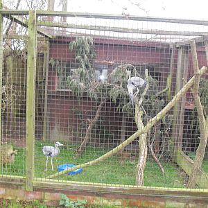 The Seal Sanctuary Mablethorpe