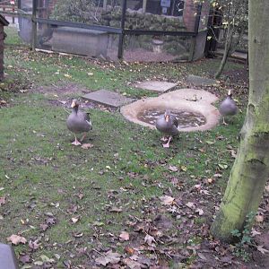 The Seal Sanctuary Mablethorpe