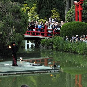 Jungle-night at Hamburg - Fire-show