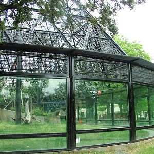 Chimpanzee Exhibit at Madrid Zoo Aquarium, 26/05/11