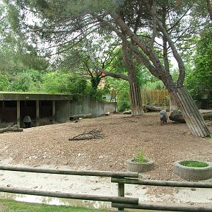 Babirusa and Malayan Tapir Exhibit at Madrid Zoo Aquarium, 26/05/11