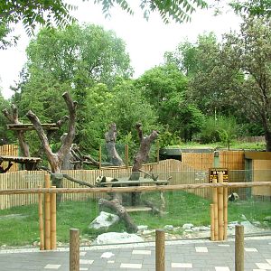 Giant Panda Exhibit at Madrid Zoo Aquarium, 26/05/11
