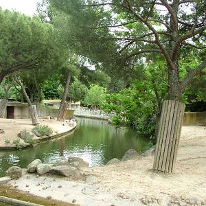 Deer Paddocks at Madrid Zoo Aquarium, 26/05/11