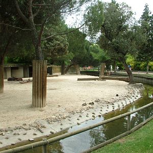 Deer Paddock at Madrid Zoo Aquarium, 26/05/11