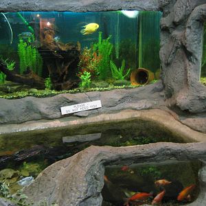 Aquarium