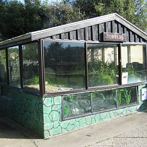 turtle enclosure