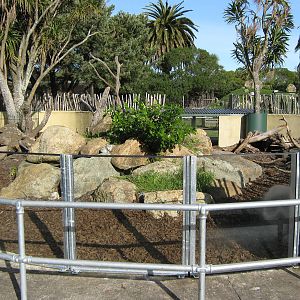 porcupine enclosure