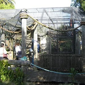 capuchin cage