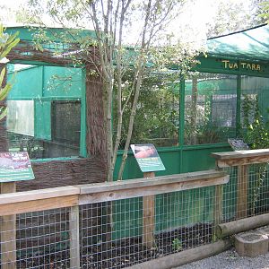 tuatara enclosures