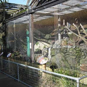 kea aviary