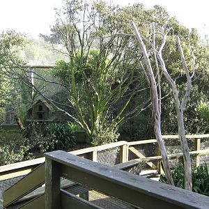 interior of walk-through aviary