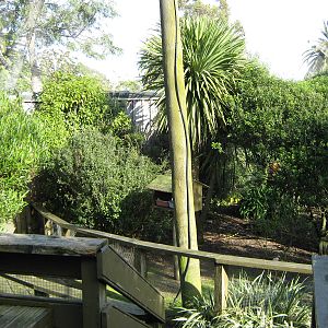 interior of walk-through aviary