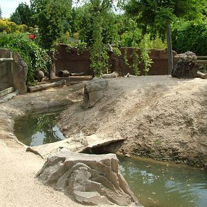 Capybara Exhibit at Faunia, 27/05/11
