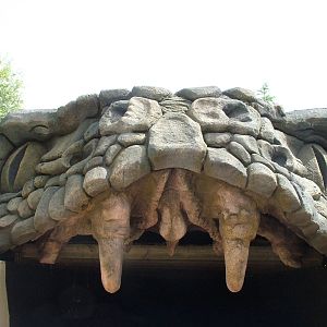 Venom Building Entrance at Faunia, 27/05/11