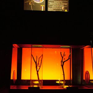 Black Widow Display in Venom at Faunia, 27/05/11