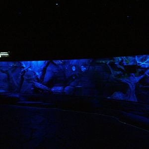 Nocturnal House Mixed Exhibit at Faunia, 27/05/11