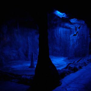 Bat Exhibit at Faunia, 27/05/11