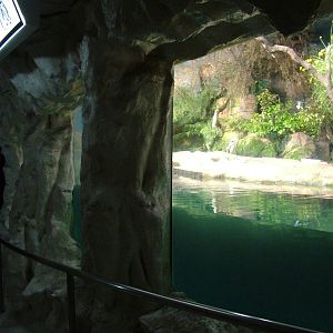 Penguin Exhibit at Faunia, 27/05/11