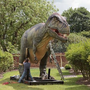 Dinosaurs are Alive! 16/06/2011