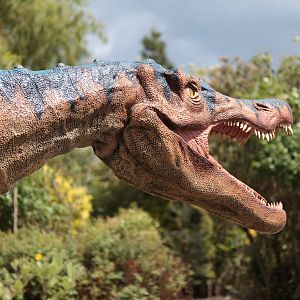 Dinosaurs are Alive! 16/06/2011