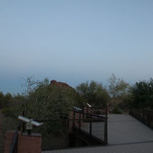 Night Zoo, June 11, 2011