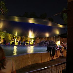 Night Zoo, June 11, 2011