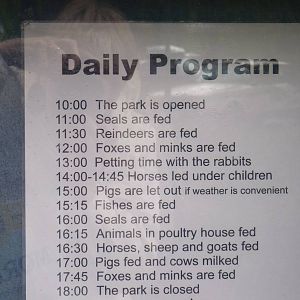Daily Programme 10 June 2011