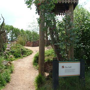 Uda Walawe at Twycross, 18/06/11