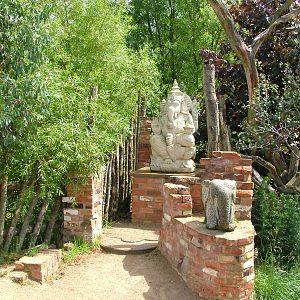 Uda Walawe at Twycross, 18/06/11