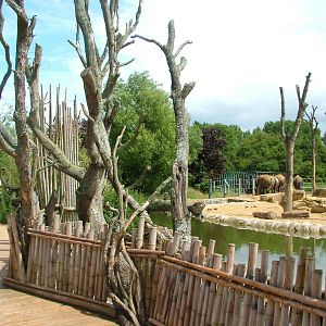 Uda Walawe at Twycross, 18/06/11