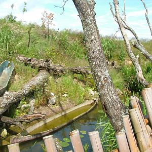 Uda Walawe at Twycross, 18/06/11