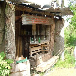 Uda Walawe at Twycross, 18/06/11