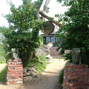 Uda Walawe at Twycross, 18/06/11