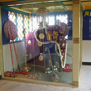 Uda Walawe at Twycross, 18/06/11