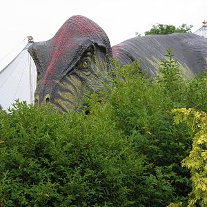 Doyouthinkhesaurus ...