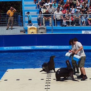 Barcelona Zoo - Aquarama
