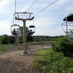 New African Sky Safari