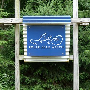 Polar Bear Watch Sign