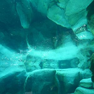 Reflection Right Below the Surface