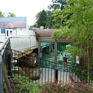 Higher Level of Polar Bear Watch