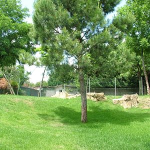 Wallaby/Emu Exhibit at Faunia, 27/05/11