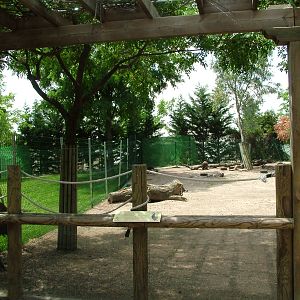 Wallaby/Emu Exhibit at Faunia, 27/05/11