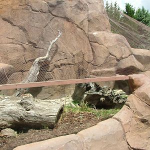 Mongoose/Tortoise Exhibit at Faunia, 27/05/11