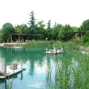 Pelican/Cormorant Lake at Faunia, 27/05/11